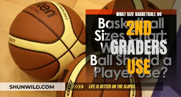 Perfecting the Game: Basketball Size for Young Players