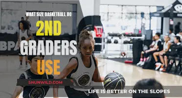 Basketball Sizes for Second Graders: What's the Right Fit?