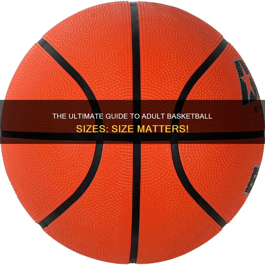 what size basketball do adults use