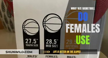 The Ultimate Guide to Women's Basketball: Size Matters!