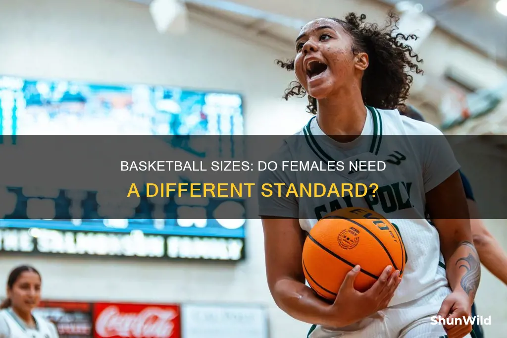 what size basketball do females use