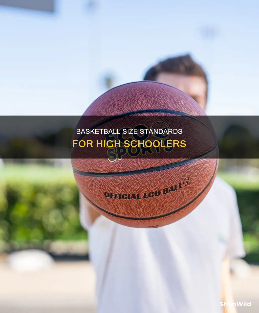 what size basketball do high schoolers use