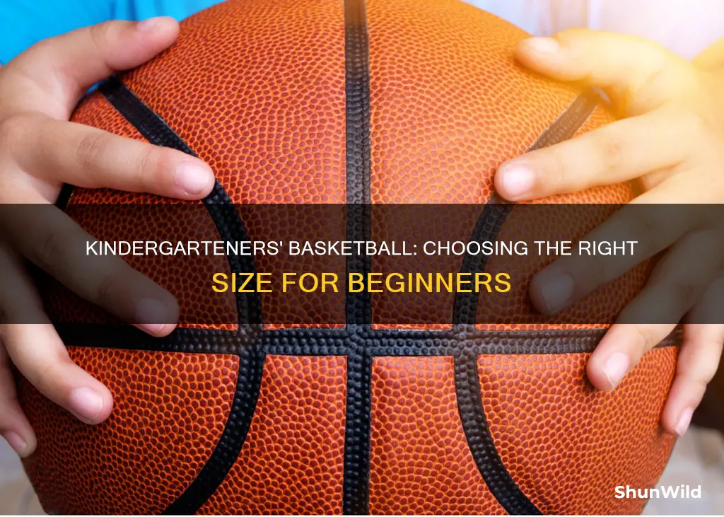 what size basketball do kindergarteners use