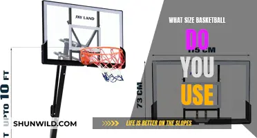 Basketball Sizes: Choosing the Right Hoop Sphere