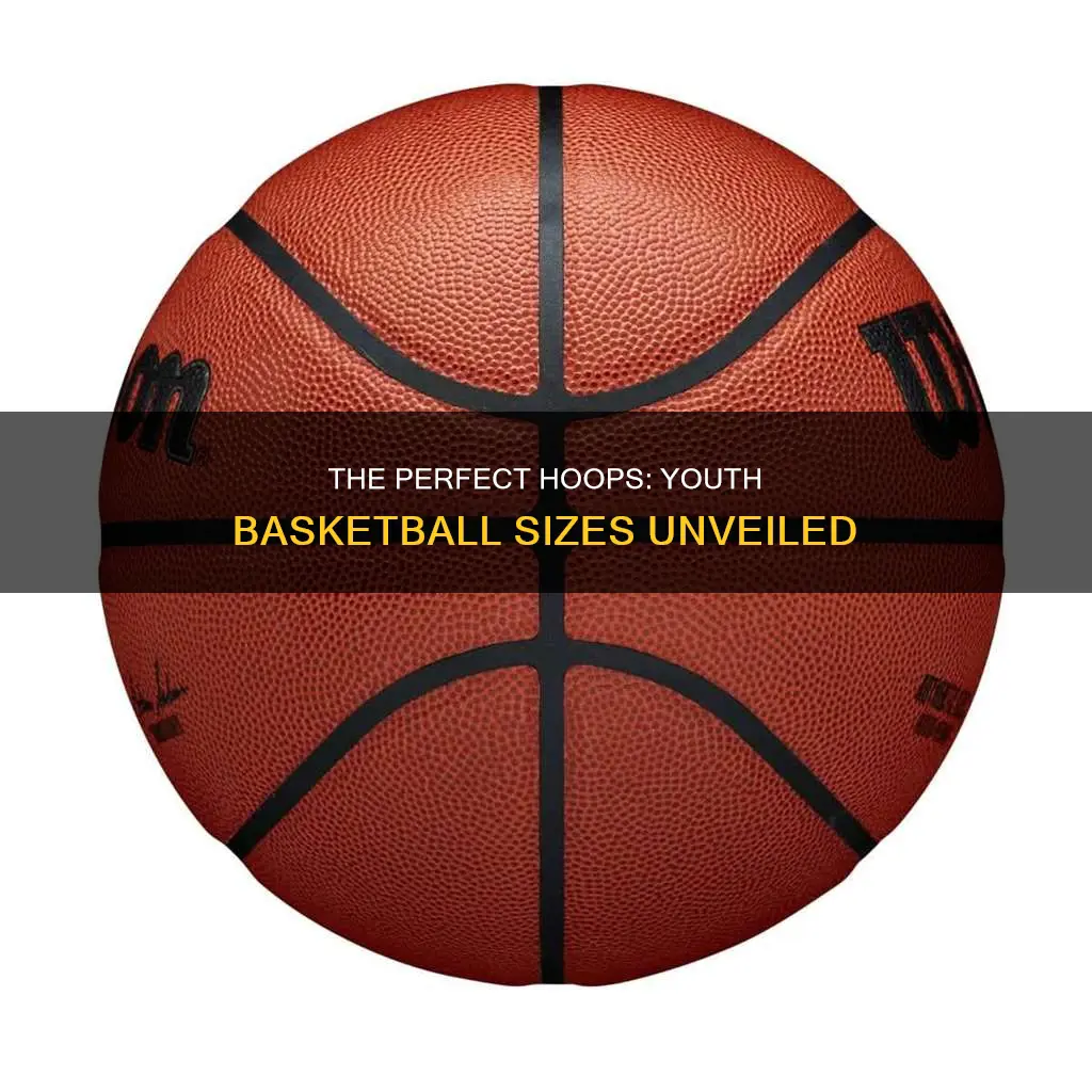 what size basketball do youth leagues use