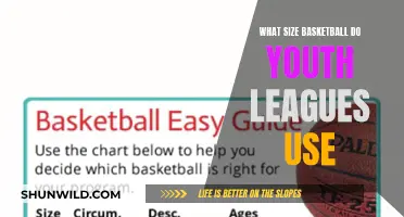 Basketball Size for Youth Leagues: What's the Standard?
