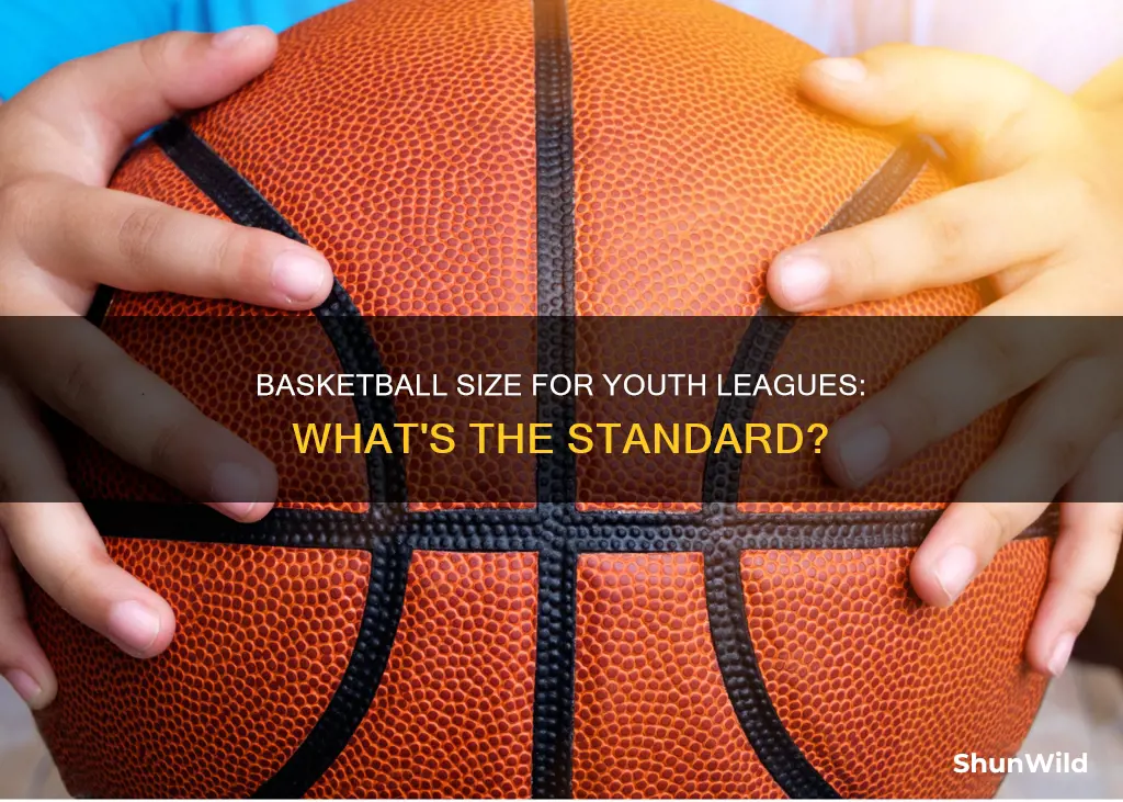 what size basketball do youth leagues use