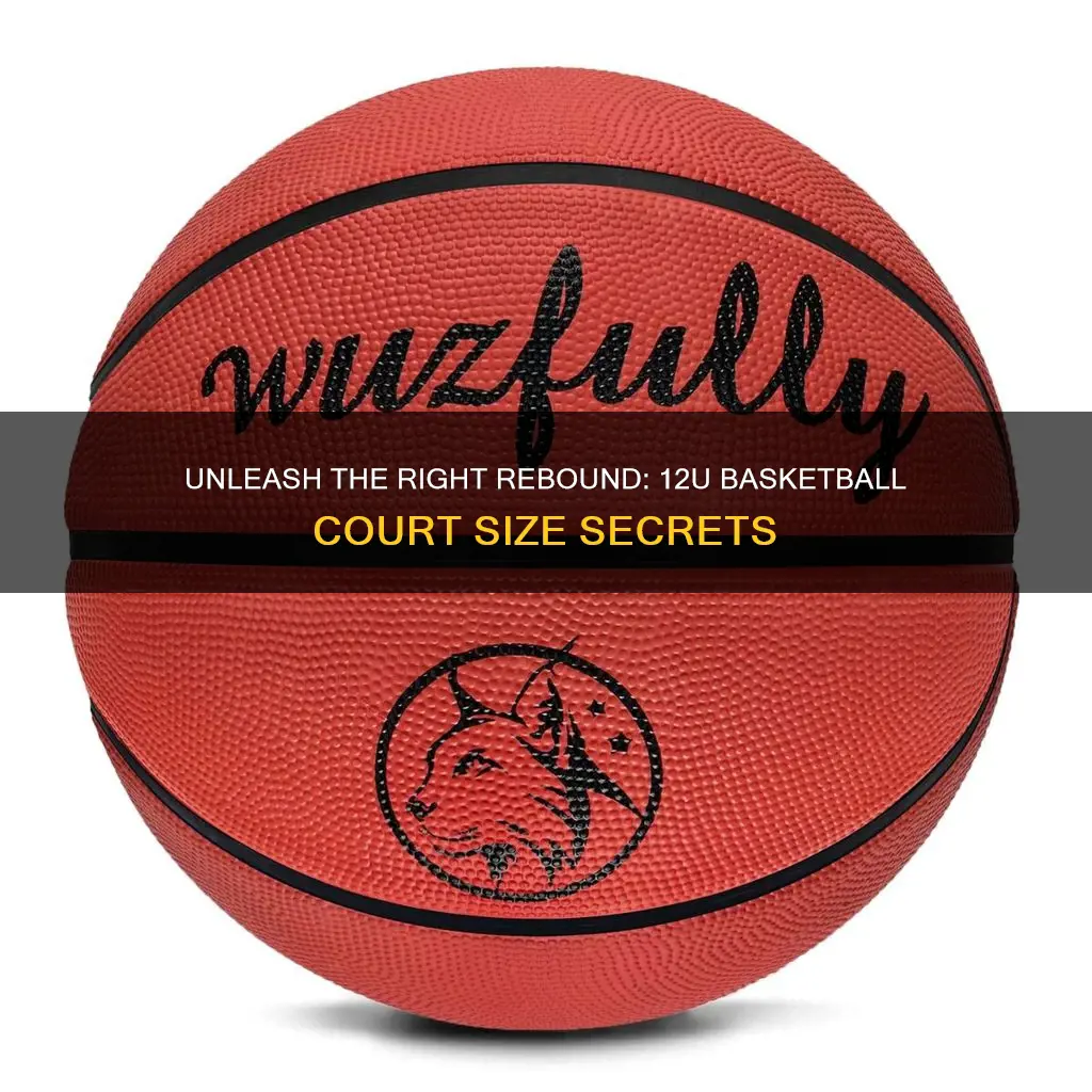 what size basketball does 12u use