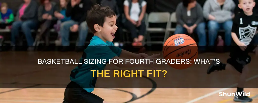 what size basketball does 4th grade use