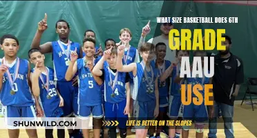 Unveiling the Perfect Ball: 6th Grade AAU Basketball Size Guide