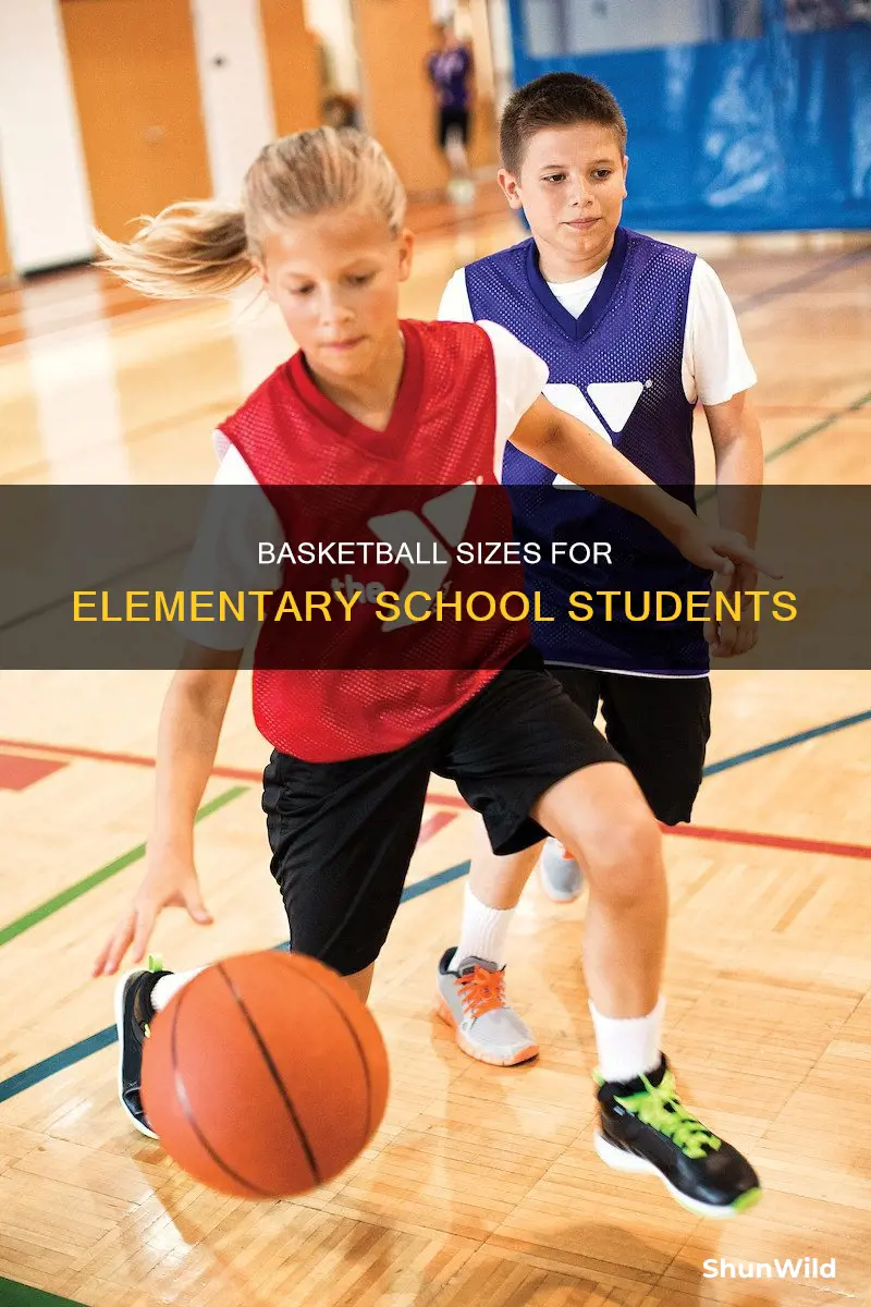 what size basketball does elementary school use