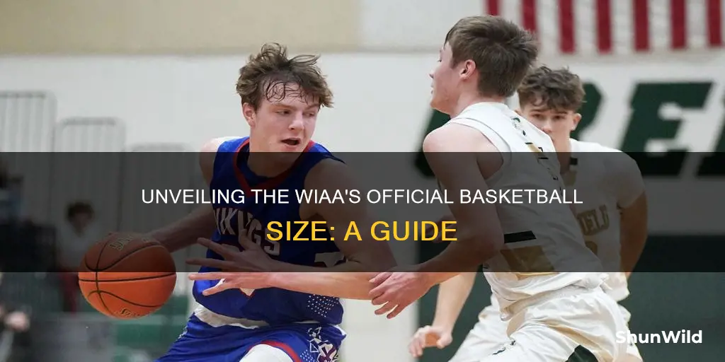 what size basketball does the wiaa use