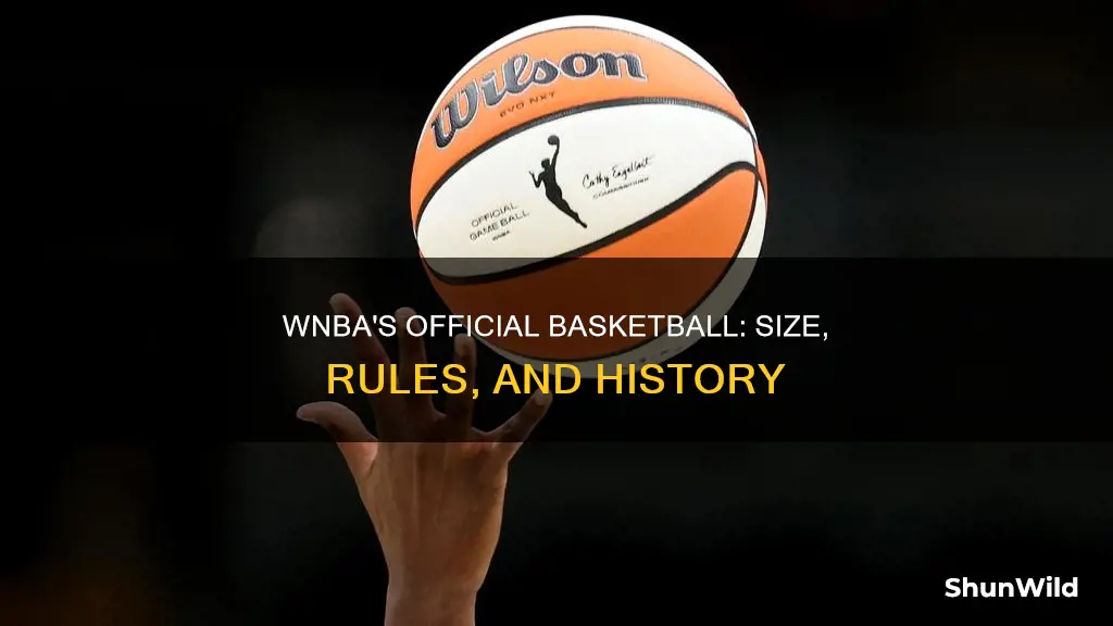 what size basketball does wnba use