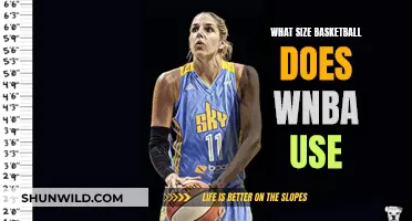 WNBA Basketball Size: The Official Standard