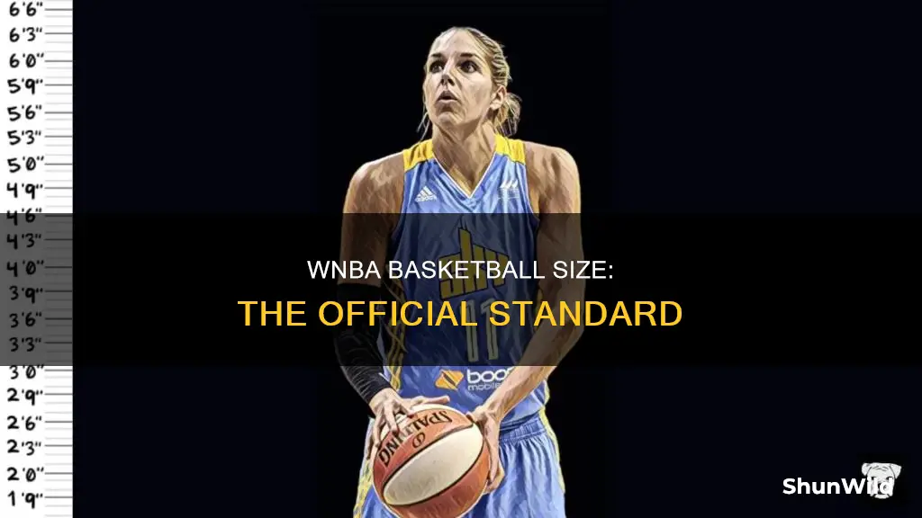 what size basketball does wnba use