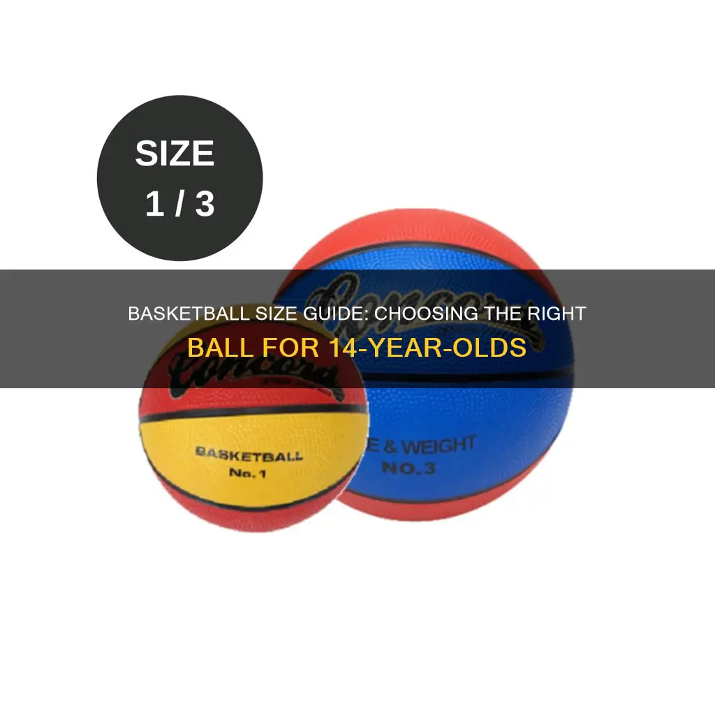 what size basketball for 14 year olds