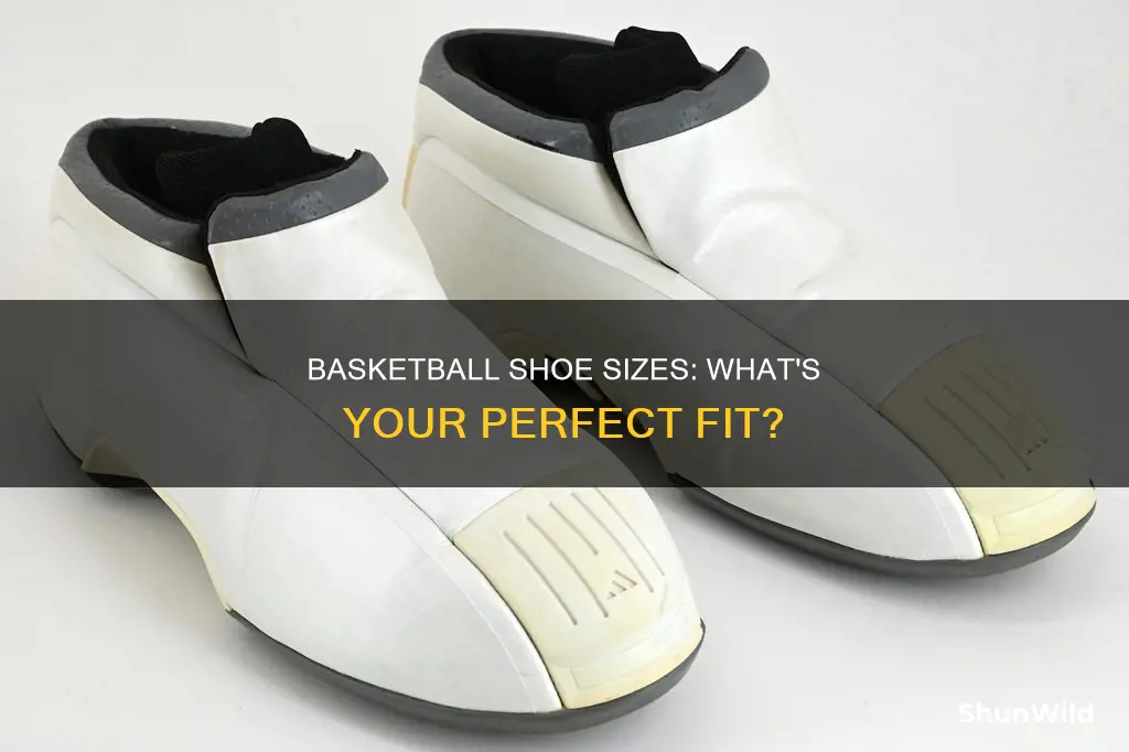 what size basketball shoes are carried