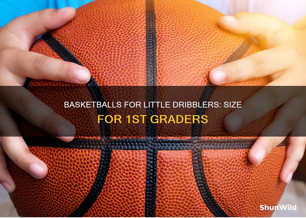 what size basketballs do little dribblers use in 1st grade