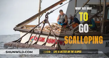 Best Boat Size for Scalloping: A Guide