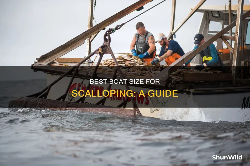 what size boat to go scalloping