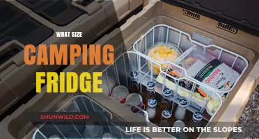 Choosing the Perfect Camping Fridge: A Comprehensive Size Guide