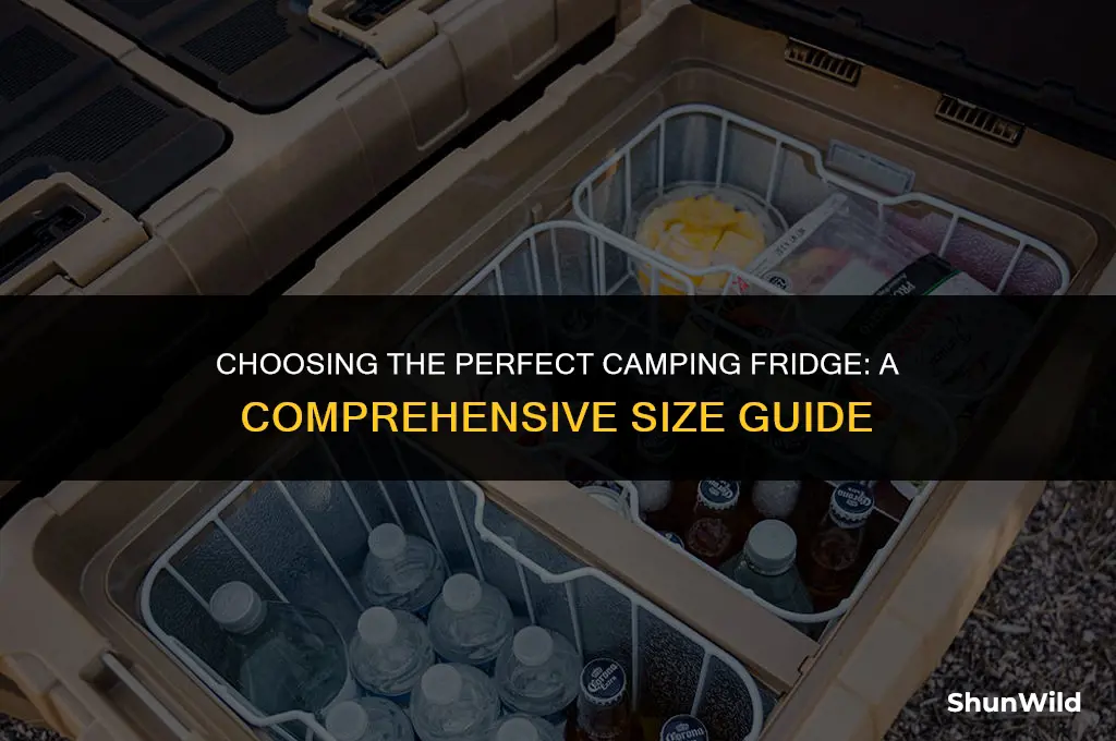 what size camping fridge