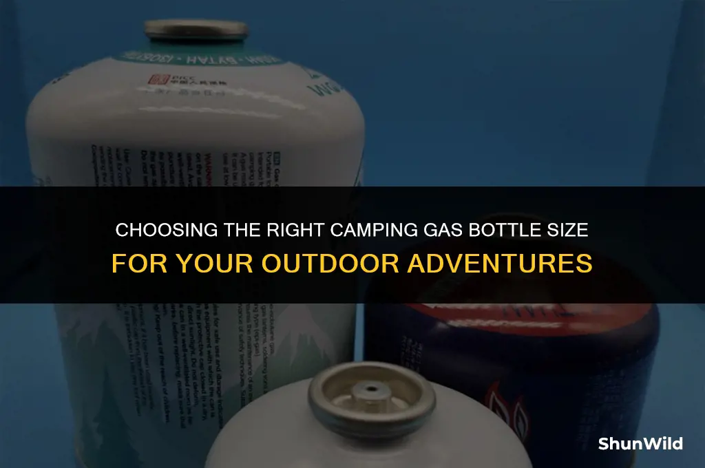 what size camping gas bottle