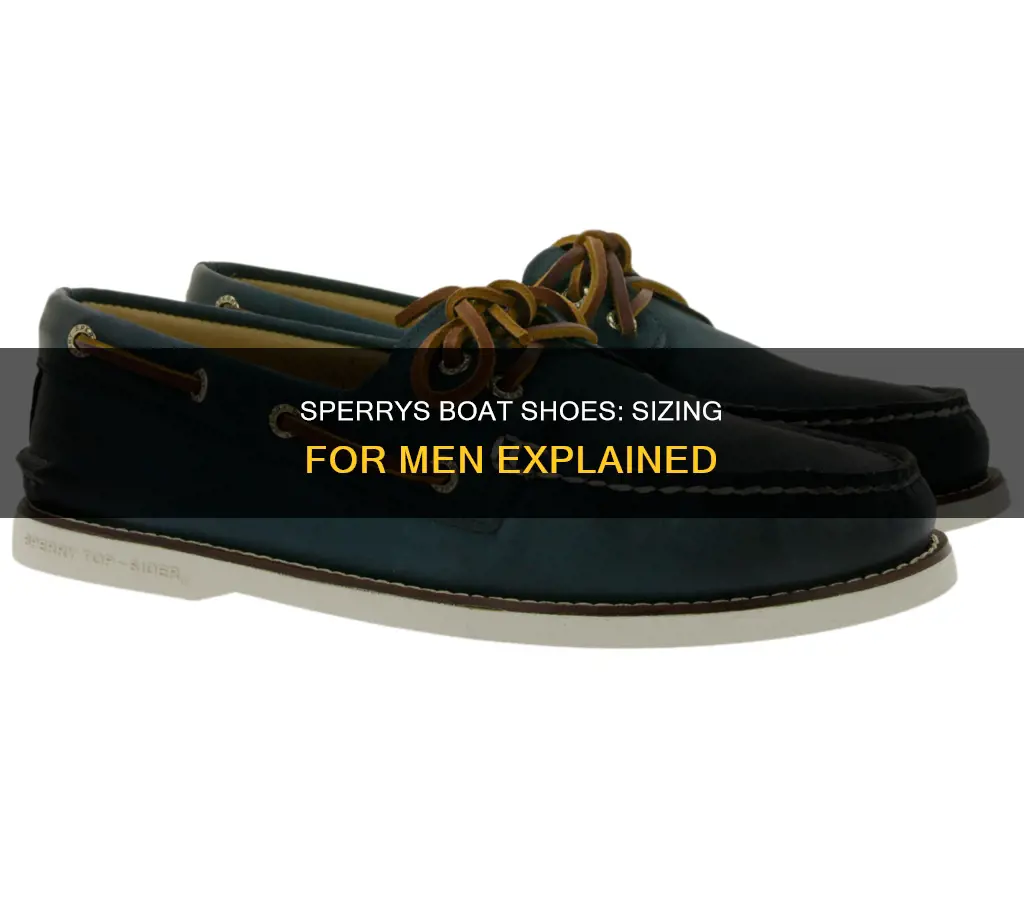 what size do mens sperrys boat go to