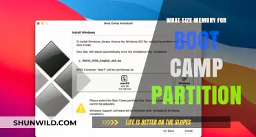 Optimal Boot Camp Partition Memory Size for Windows on Mac