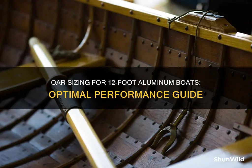 what size oars for a 12 foot aluminum boat