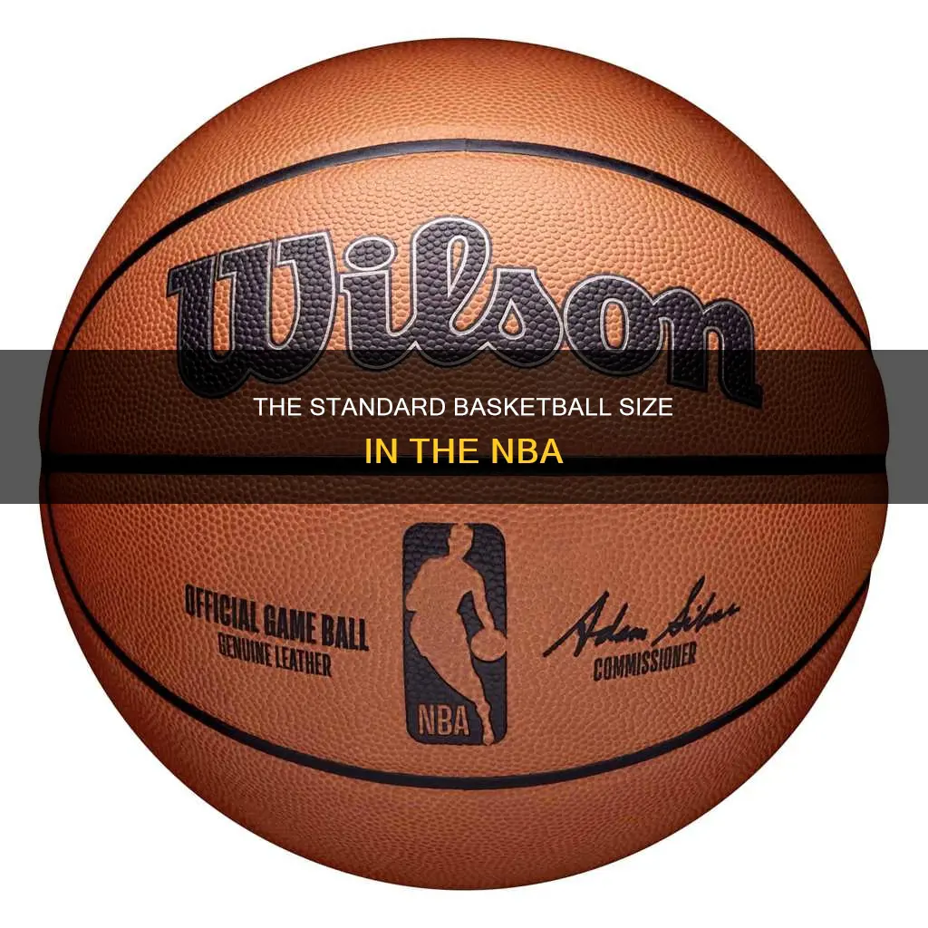 what size of basketball does the nba use