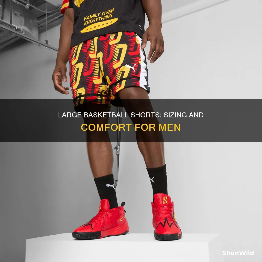 what sizes are men
