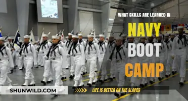 Mastering Discipline: Essential Skills Gained at Navy Boot Camp