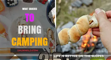 Trailblazing Treats: The Ultimate Guide to Camping Snacks