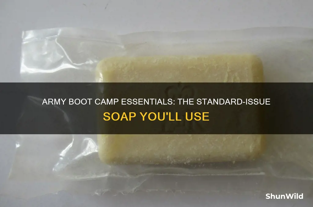 what soap are you issued in army boot camp