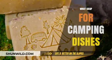 Dish Duty in the Wild: Eco-Friendly Soap Solutions for Campers