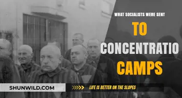 Socialists in Concentration Camps: Persecution Under Fascist Regimes