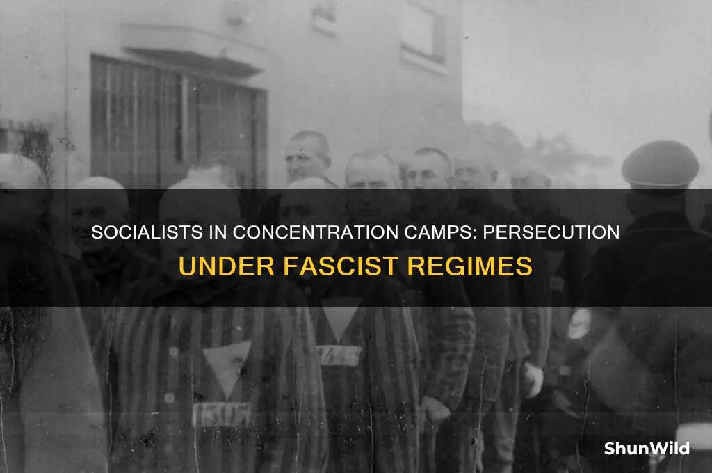what socialists were sent to concentration camps