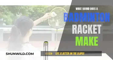 The Music of Badminton: Decoding Racket Sounds