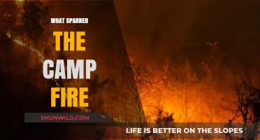 Unraveling the Mystery: What Sparked the Devastating Camp Fire?