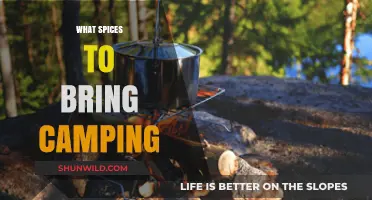 Essential Spices to Elevate Your Camping Cuisine