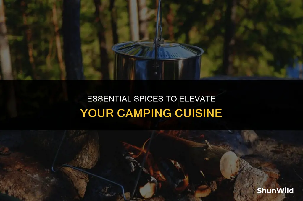 what spices to bring camping