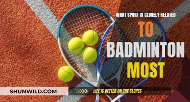 Badminton's Closest Cousins: Similar Sports to Smash About