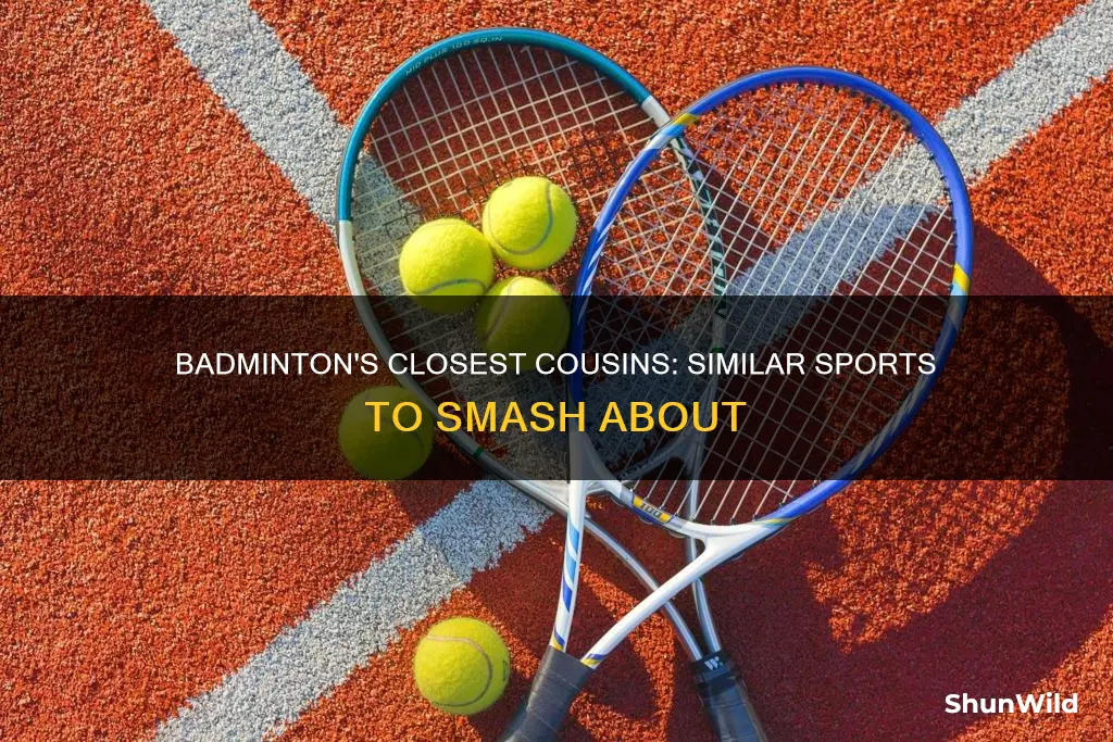what sport is closely related to badminton most