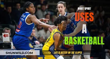 Basketball Sports: The Ultimate Guide to Basketball-Based Games