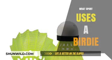 Badminton Basics: Understanding the Birdie's Role