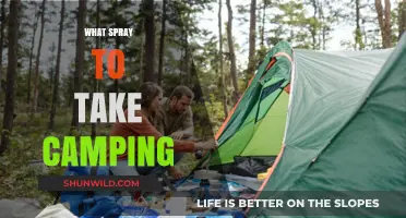 Essential Camping Sprays: Your Guide to Staying Safe and Comfortable Outdoors
