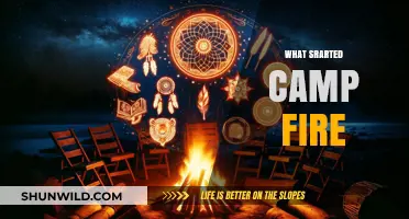 The Spark that Ignited the Campfire: An Origin Story