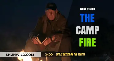 The Spark That Ignited the Blaze: Unraveling the Mystery of the Campfire's Origin