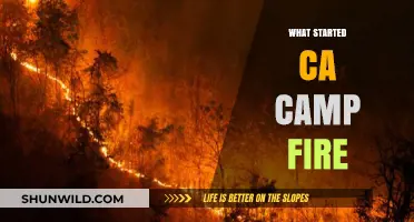 Unraveling the Origins: What Sparked the CA Camp Fire?